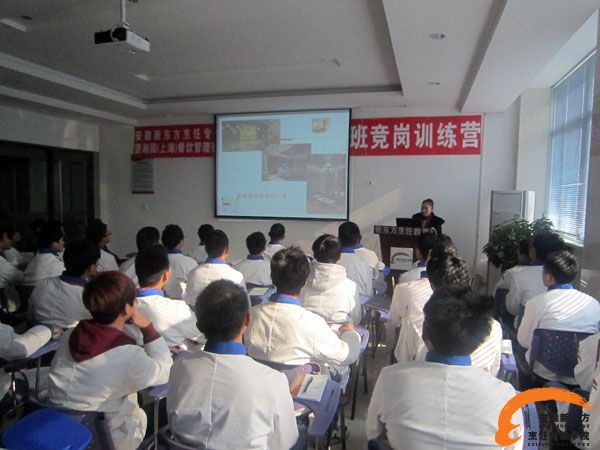 苏州黄埭最新招聘信息概览