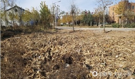 曲周县白寨镇，揭开最新发展的篇章