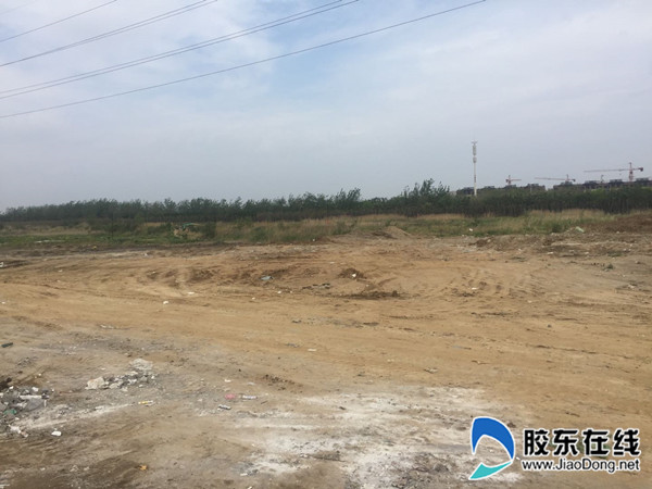 牟平赶集网最新招聘动态及其影响