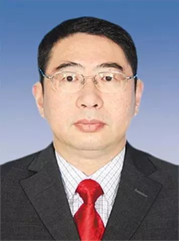 淮滨国税局刘鹏飞最新消息，一位税务领域的杰出领导者
