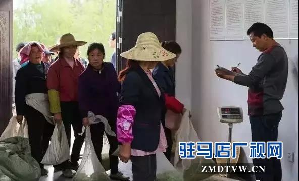 信阳市最新招聘信息概览