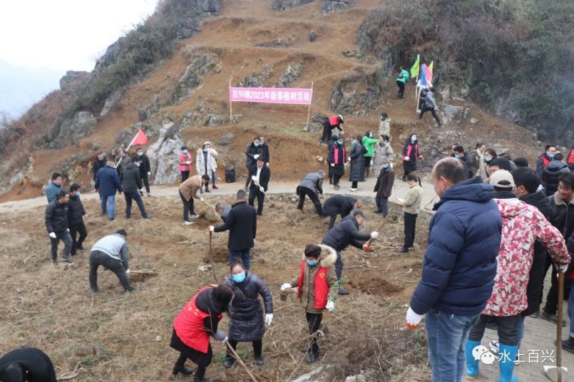 纳雍县百兴镇最新消息概览
