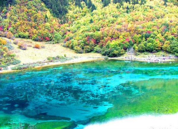 最新九寨沟旅游攻略