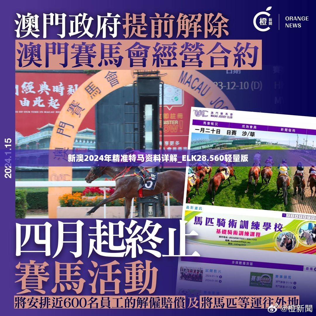 新澳2024年精准特马资料|精选资料解析大全