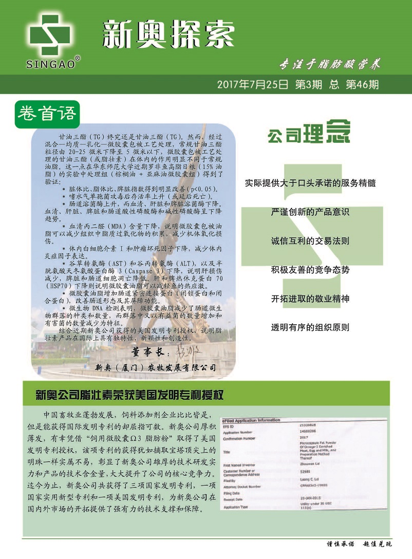 新奥资料免费精准网址|精选资料解析大全