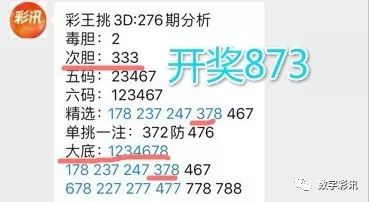 2024新澳门正版最精准资料大全|精选资料解析大全