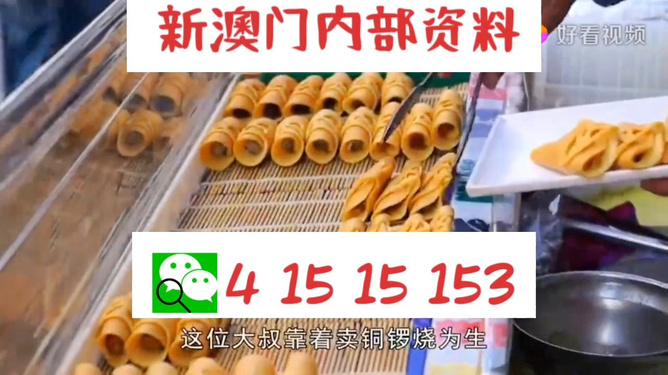 2024澳门天天开好彩资料|精选资料解析大全