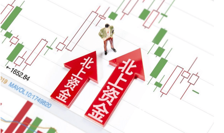 新澳门资料免费长期公开,2024|精选资料解析大全