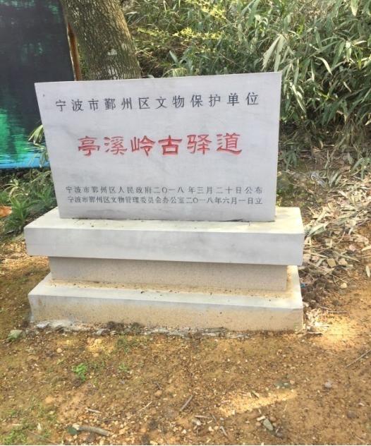 宁波大嵩新区最新新闻