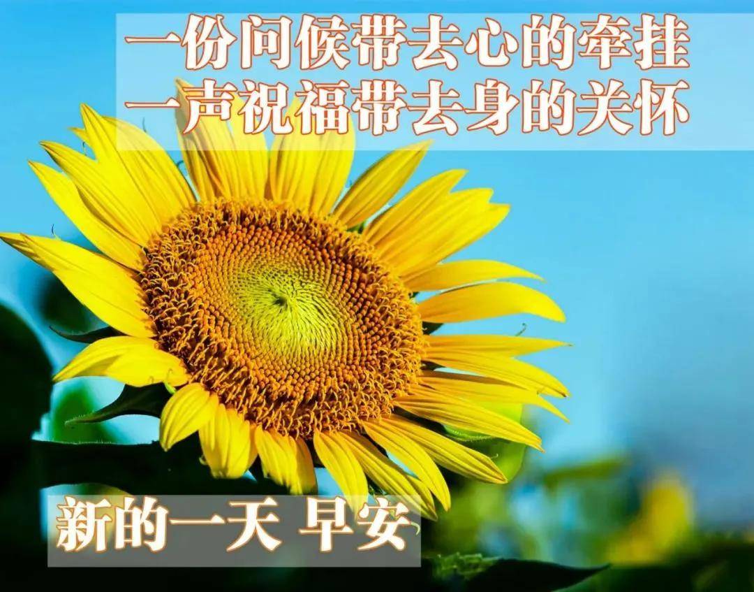 早晨的空气是最新鲜的